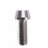 Syntace Titan Screw M 5 X 16 Mm 1 Syntace Titan Screw M 5 X 16 Mm -Kettenblaetter Verkäufe 21093 0