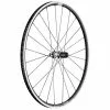 DT Swiss PR 1600 Spline 23 Hinterrad UB Clincher Tubeless Ready -Kettenblaetter Verkäufe 44932 0 Hinterrad DT Swiss PR 1600 Spline 23