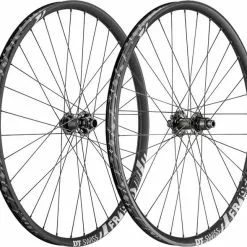 DT Swiss FR 1950 Classic 30 Laufradsatz 29 Zoll