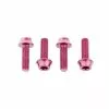 Wolf Tooth Aluminium Flaschenhalterschrauben Set - M5x15mm Zylinderkopf Pink 1 Wolf Tooth Aluminium Flaschenhalterschrauben Set - M5x15mm Zylinderkopf Pink -Kettenblaetter Verkäufe 57439 0 Wolf Tooth Waterbolts 4WBBOLTPNK