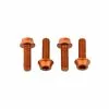 Wolf Tooth Aluminium Flaschenhalterschrauben Set - M5x15mm Zylinderkopf Orange 1 Wolf Tooth Aluminium Flaschenhalterschrauben Set - M5x15mm Zylinderkopf Orange -Kettenblaetter Verkäufe 57440 0 Wolf Tooth Waterbolts 4WBBOLTORG