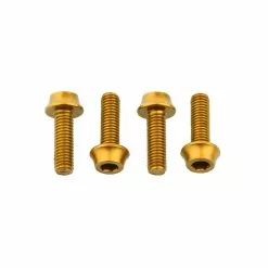 Wolf Tooth Aluminium Flaschenhalterschrauben Set - M5x15mm Zylinderkopf Gold