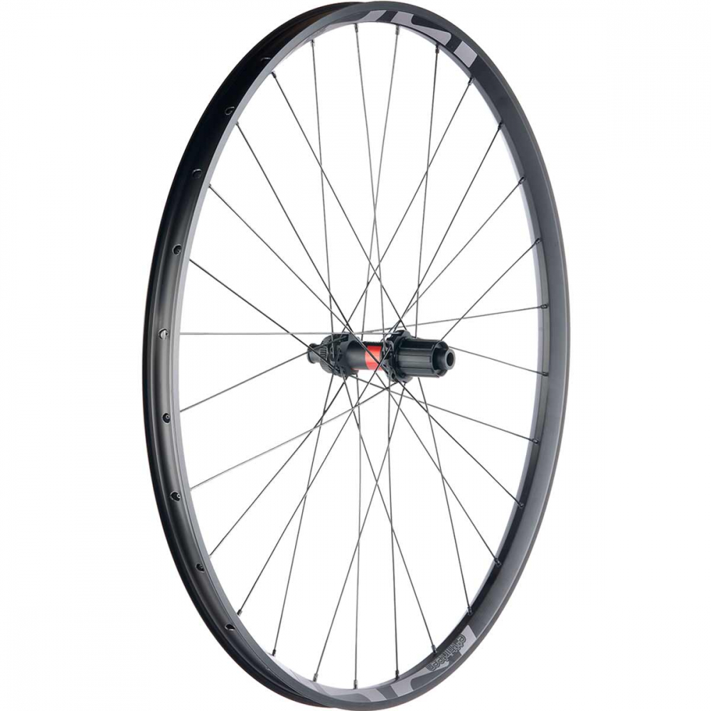 29 Zoll MTB Hinterrad DT Swiss 240 EXP Straightpull Disc Nabe + E*thirteen TRS Plus Trail Felge